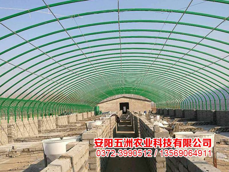 養(yǎng)殖大棚 養(yǎng)殖大棚